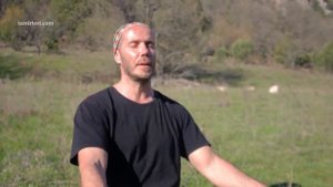 Улучшить память и работу мозга