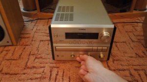 YAMAHA CRX-E300
