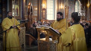 Протодиакон Александр Палий. Евангельское чтение (Лк., 71 зач., XIII, 10-17)