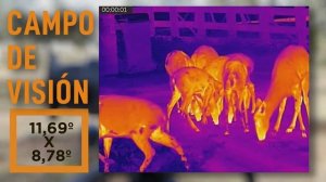 Monocular Hikmicro Lynx Pro LE15 económico y con 708 m de alcance | El Calden Outdoor