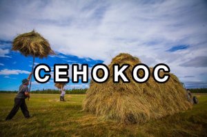 Бесконечный СЕНОКОС