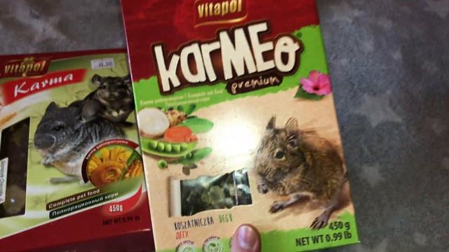 ПОКУПКИ ИЗ ЗООМАГАЗИНА. Обзор новой клетки для хомяка. Товары для дегу, хомяка смотреть онлайн