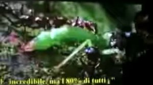 Туллио Симончини «Рак излечимое грибковое заболевание»