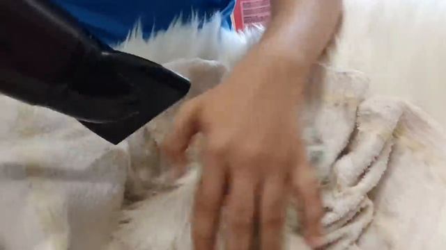 Kitten Enjoys First Bath