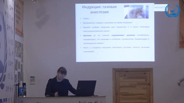 Каземирчук М. С. в УЦ «Зоовет» | ч.3 смотреть онлайн