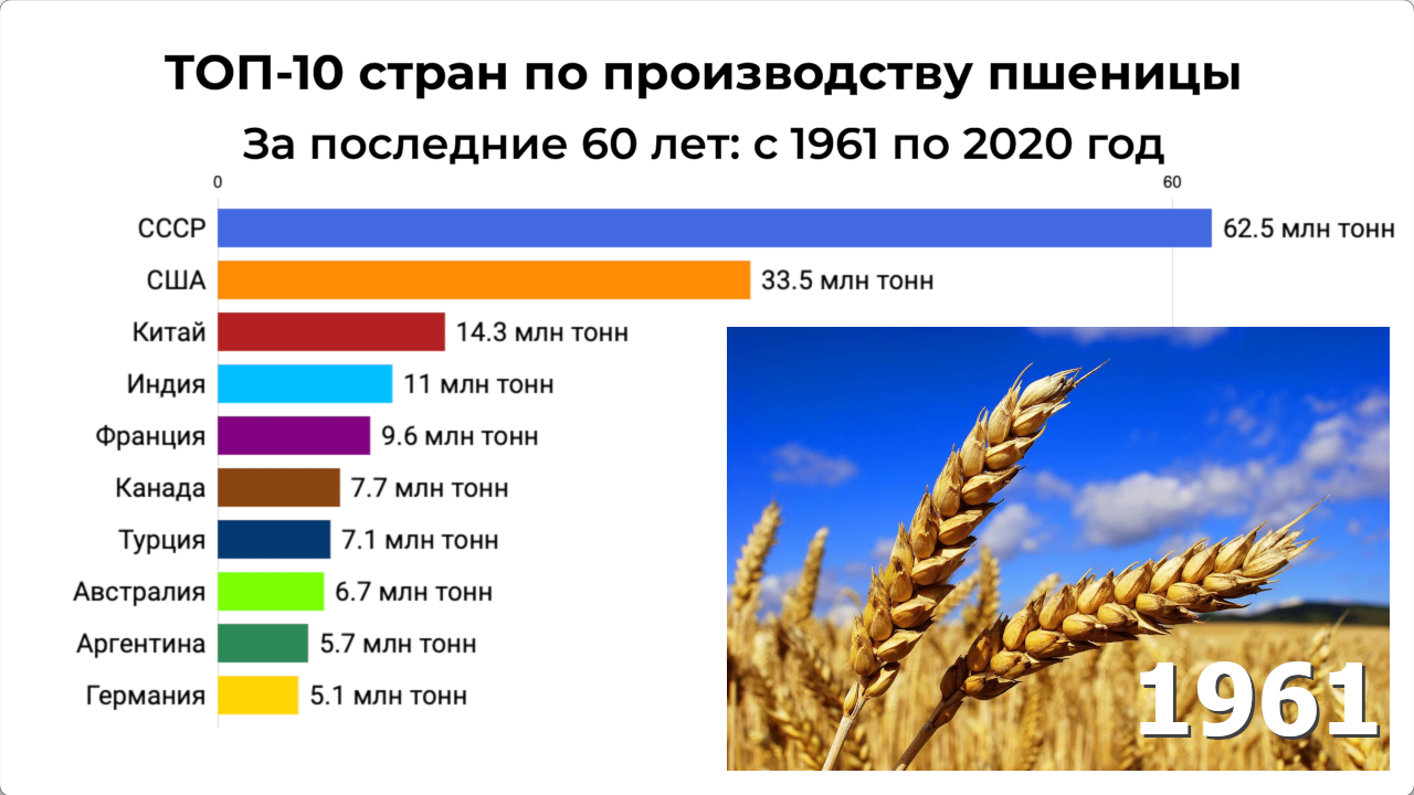 Где больше всего пшеницы