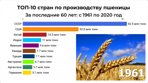 ТОП-10 стран по производству пшеницы за последние 60 лет