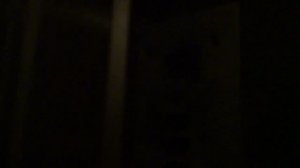 Электрический лифт (г. Королев), V=0,71 м-с, г-п 320 кг (8)