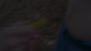 Клеймение жопы