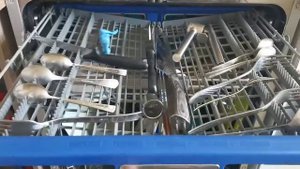 Плохой запах из Посудомойки?