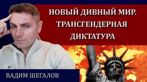 Глобальная повестка 2023 / Вадим Шегалов