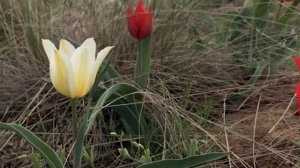 Утром в дорогу