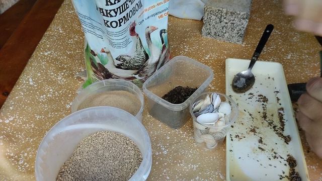 VID_20240731_160941 Какие отличия кальция ракушки и ракушечника