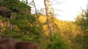 Касуля на солонце