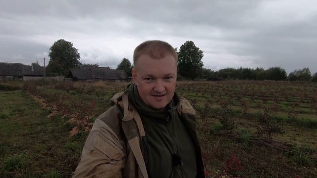 Вы должны знать об этом перед посадкой плантации голубики смотреть онлайн