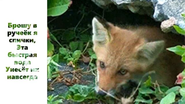 Экологическая сказка Ручеёк средняя группа смотреть онлайн