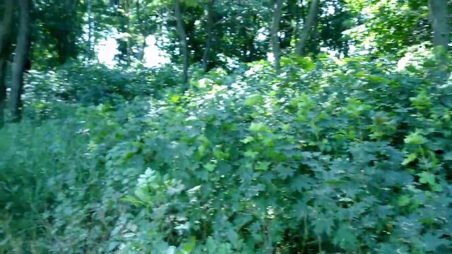 Ливенский городской ПЛЯЖ как его принимали!!! Евгений Шилов смотреть онлайн