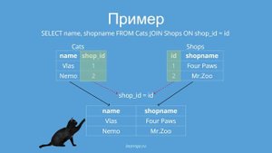SQL на котиках: Джоины (Joins)