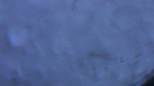 Moon with Celestron Nexstar 114mm slt and quickcam смотреть онлайн