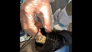 2015-2021 Lexus Nx200t NX300 engine oil & filter change!