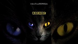 ⚡своя вибрация