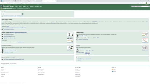 BD10. Как искать информацию о гомологах (ортологах и паралогах) гена