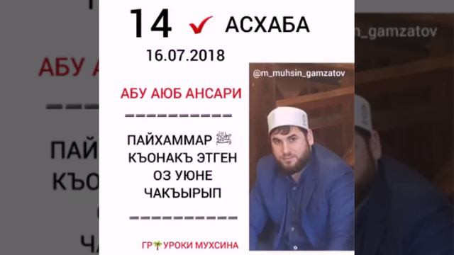14)АБУ АЮБ АНСАРИ смотреть онлайн