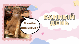 Банный день