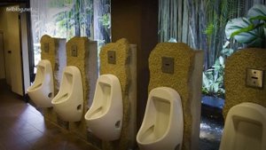 10 Способов Ходить в ТУАЛЕТ в Разных Странах Мира!