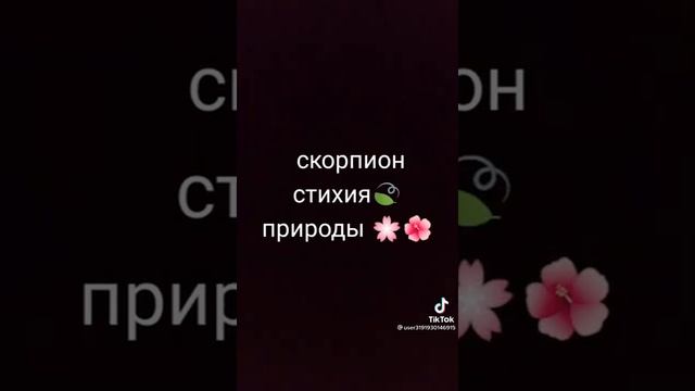 какая стихия у зз