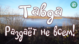 ЯЗЬ ШАРАШИТ НА ЧЕРВЯ, НАЛИМ НА ФИДЕР, ЩУКА НА СПИННИНГ! УХА, ЖАРЁХА, БАРЖА, СНЕГ, РЫБАЛКА НА ТАВДЕ!