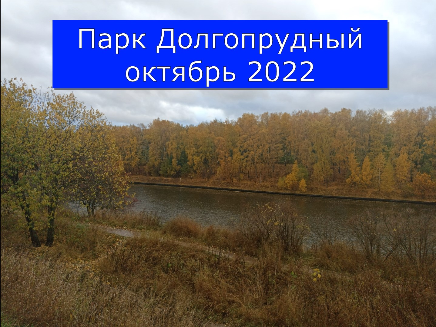 Парк Долгопрудный октябрь 2022