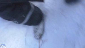 ТЕСТ МОТОБУКСИРОВЩИКА POMOR ПО ГЛУБОКОМУ СНЕГУ