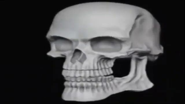 череп крутится и улыбается шаблон смотреть онлайн