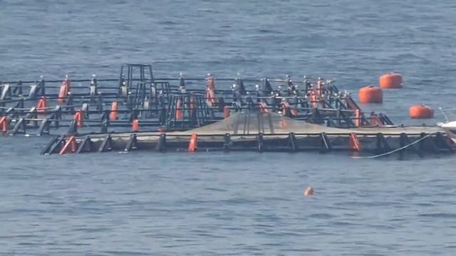 NIKON COOLPIX P520 - Optical zoom test смотреть онлайн