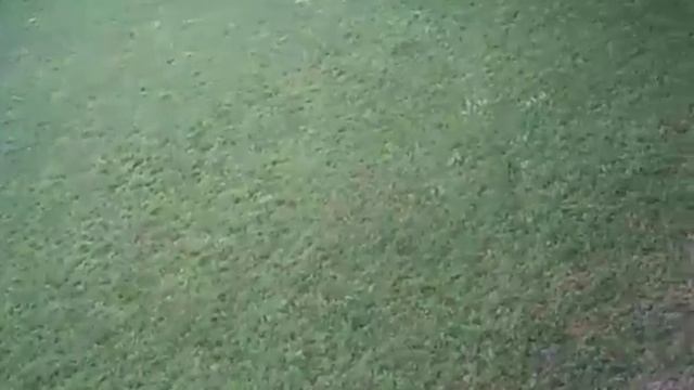 Eachine E52 FPV drone flight ended in tree 6m above ground ... смотреть онлайн