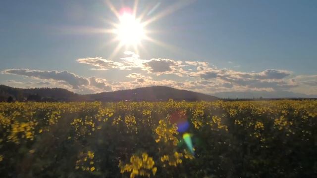 Most Emotional Music, Relaxing Music, Clean Mind, Brain Power Music смотреть онлайн