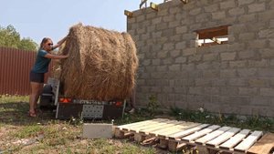 Лошадь в своей домашней конюшне