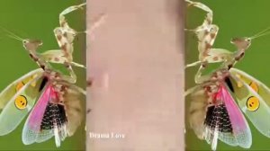 Relax squeezing out blackheads #45 Черные точки