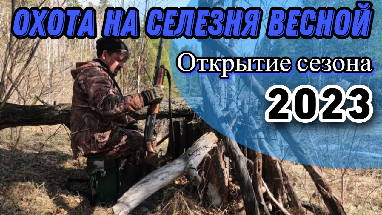 Охота на селезня весной 2023 г. С чучелами и манком.