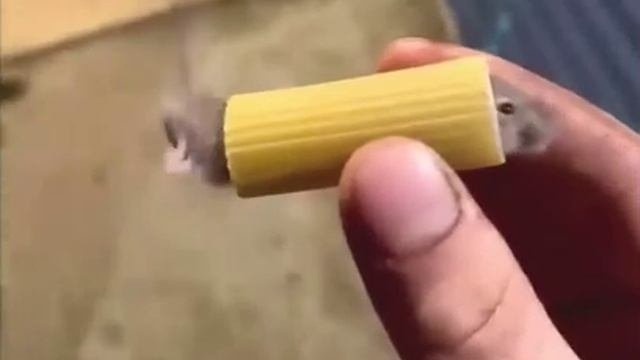 Видео,приколы,юмор,смех