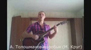 Видеоразбор песни М.Круга - "Воробьи"