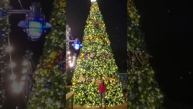 Вот как должна выглядеть новогодняя Елка ))) Гуляем в парке SeaWorld Orlando