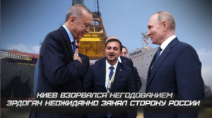 Киев взорвался негодованием: Эрдоган неожиданно занял сторону России