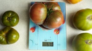 Эти помидоры советую всем! Вкуснейший сорт томата Чероки Фиолетовый!