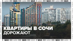"Актуальный репортаж": цена за квадратный метр в элитных ЖК в Сочи превысила 1,4 млн руб - Москва 24