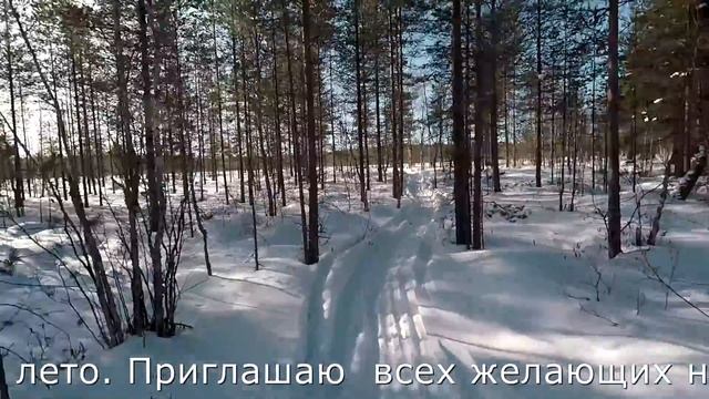 Ищем места, подходы Пробуем ловить форель смотреть онлайн