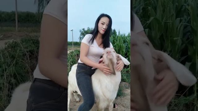 Girl rides her goat