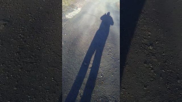 Vlog: Украл телефон мальчика сяду в тюрьму?! смотреть онлайн