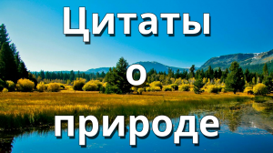Цитаты о природе